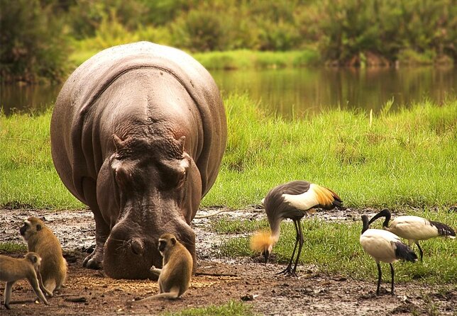 Two nights in Tsavo National