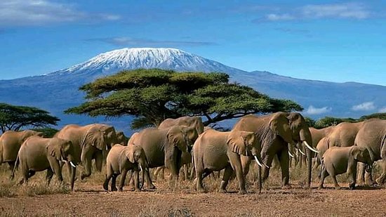 Amboseli.